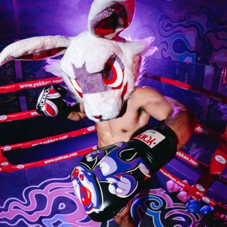 Yokkao Angry Rabbit Boxing Gloves - Image 3