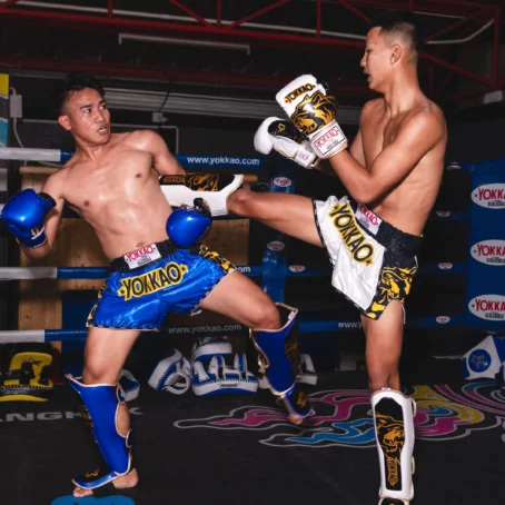 Yokkao Original Muay Thai Shorts Gold - Image 4
